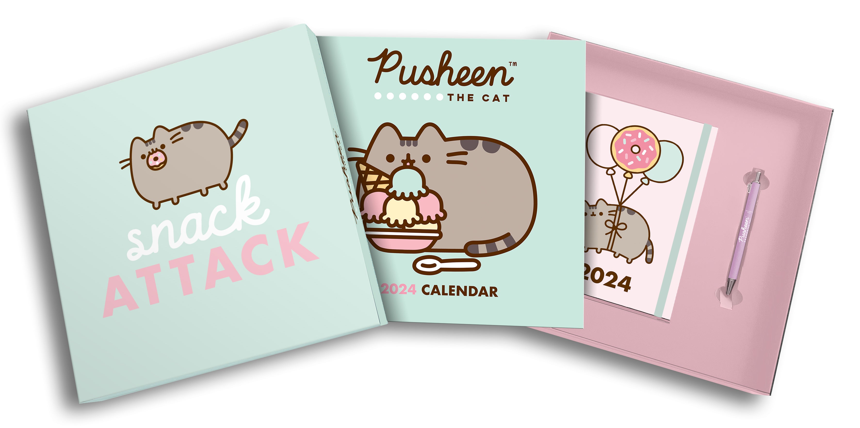 Pusheen 2024 Calendar & Diary Gift Set Danilo Promotions