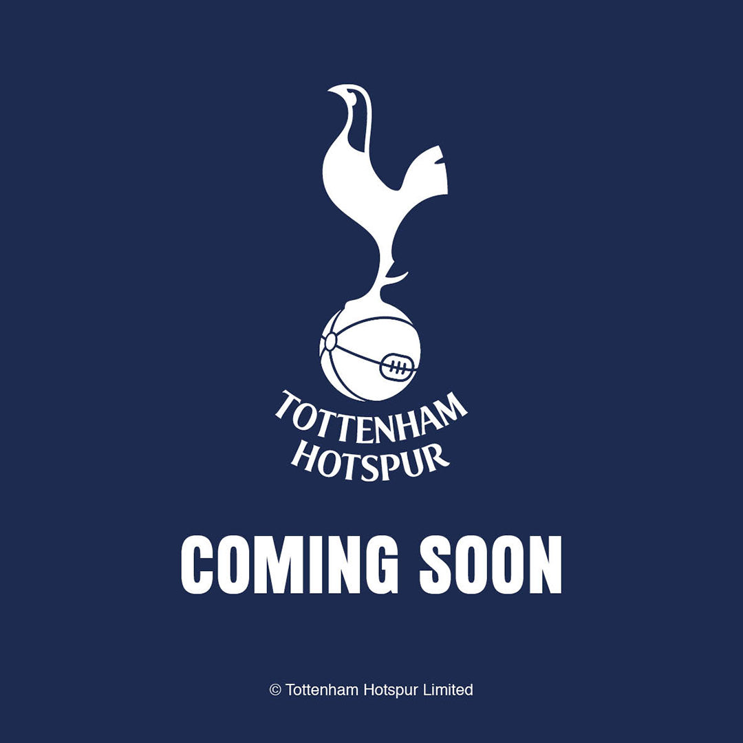 TOTTENHAM HOTSPUR FC 2025 DESK EASEL CALENDAR Danilo Promotions