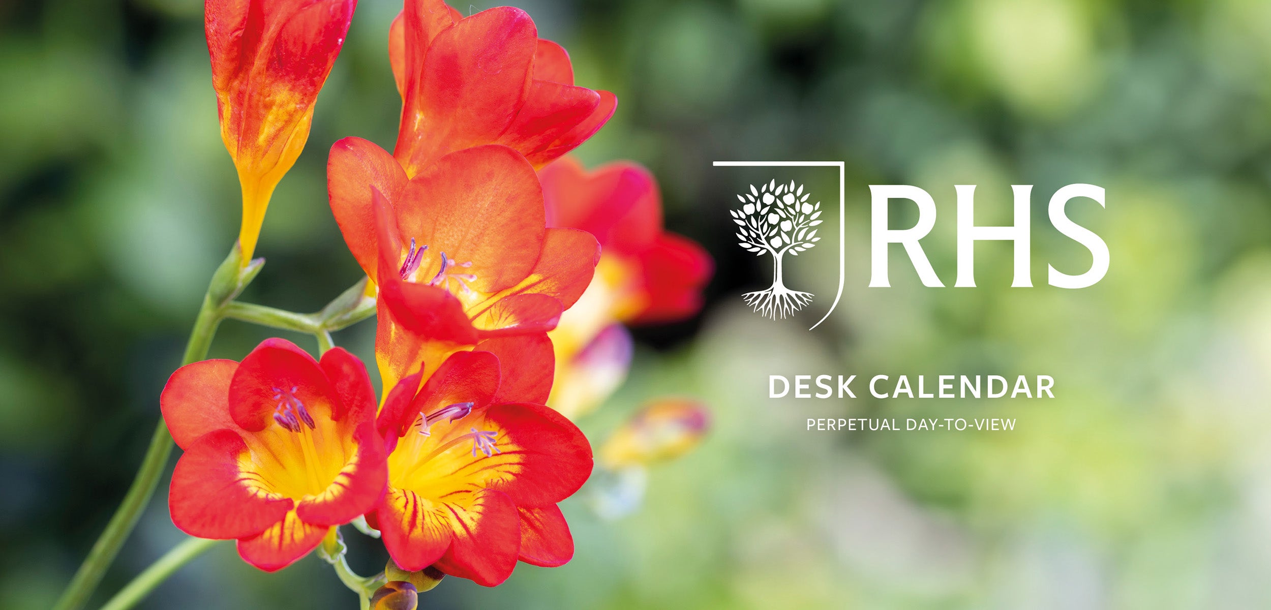 Rhs Desk Calendar 2025 