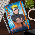 Naruto Shippuden Anime 2024 A5 Diary