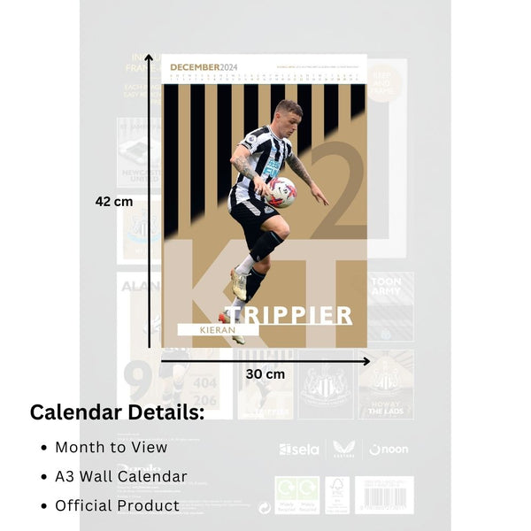 Tottenham Hotspur Fc 2024 A3 Deluxe Calendar