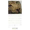 BBC EARTH 2027 SQUARE CALENDAR
