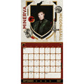 HARRY POTTER 2027 SQUARE CALENDAR - PRE-ORDER