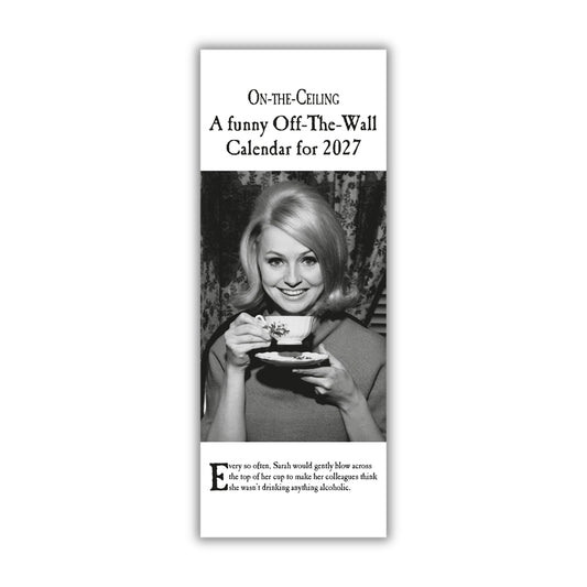ON THE CEILING 2027 SLIM CALENDAR