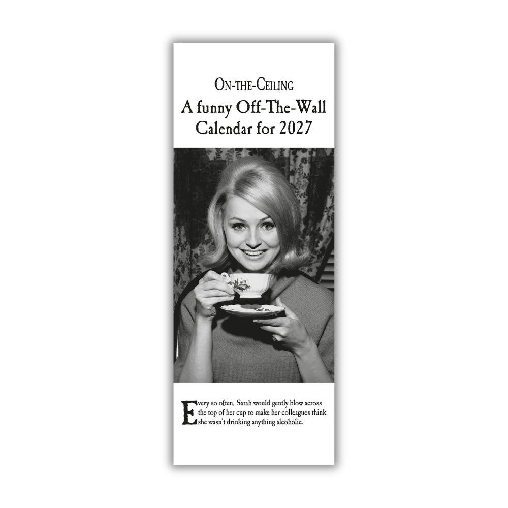 ON THE CEILING 2027 SLIM CALENDAR