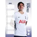 TOTTENHAM HOTSPUR FC 2027 A3 CALENDAR