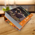 DISNEY ANIMATION 2027 DESK BLOCK CALENDAR