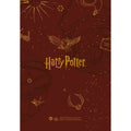 HARRY POTTER 2025 A5 DIARY