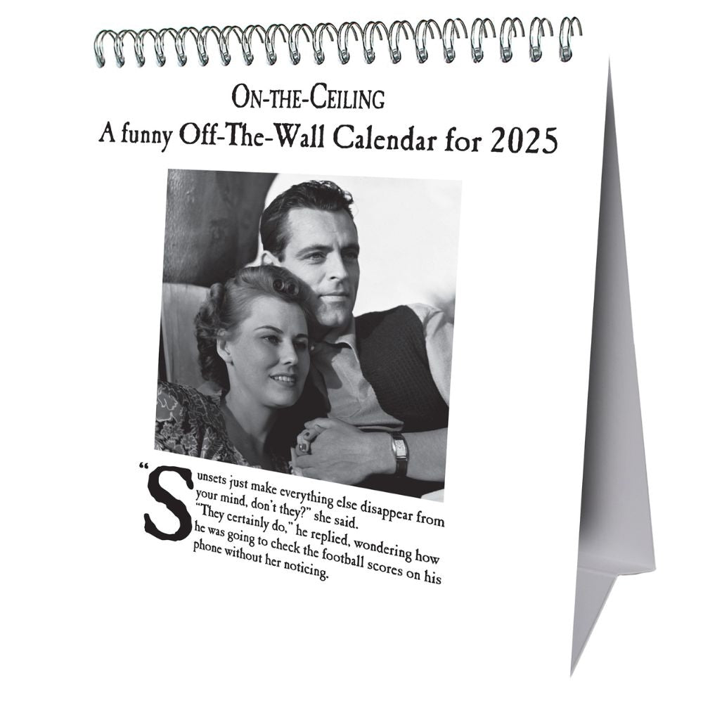 ON THE CEILING 2025 DESK EASEL CALENDAR Danilo Promotions