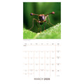 BBC EARTH 2026 SQUARE CALENDAR - PRE-ORDER