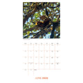 BBC EARTH 2026 SQUARE CALENDAR - PRE-ORDER