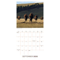 BBC EARTH 2026 SQUARE CALENDAR - PRE-ORDER