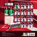 LIONESSES ENGLAND FC WOMEN'S FOOTBALL 2026 SQUARE CALENDAR