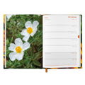 RHS 2027 A5 DIARY