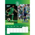 HIBERNIAN FC 2025 A3 CALENDAR