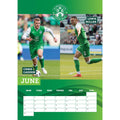 HIBERNIAN FC 2025 A3 CALENDAR