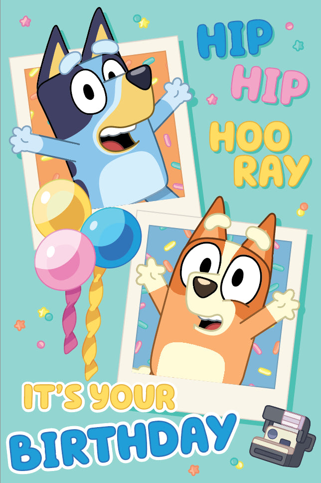 Bluey Birthday Card
