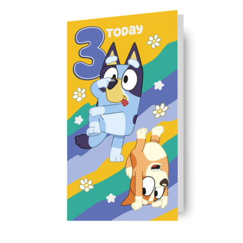 Bluey Age 3 Birthday Card With Stickers Included