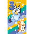 Bluey Age 3 Birthday Card With Stickers Included