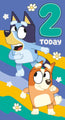 Bluey Age 2 Sticker Birthday Card