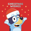 Bluey Multipack of 20 Christmas Cards