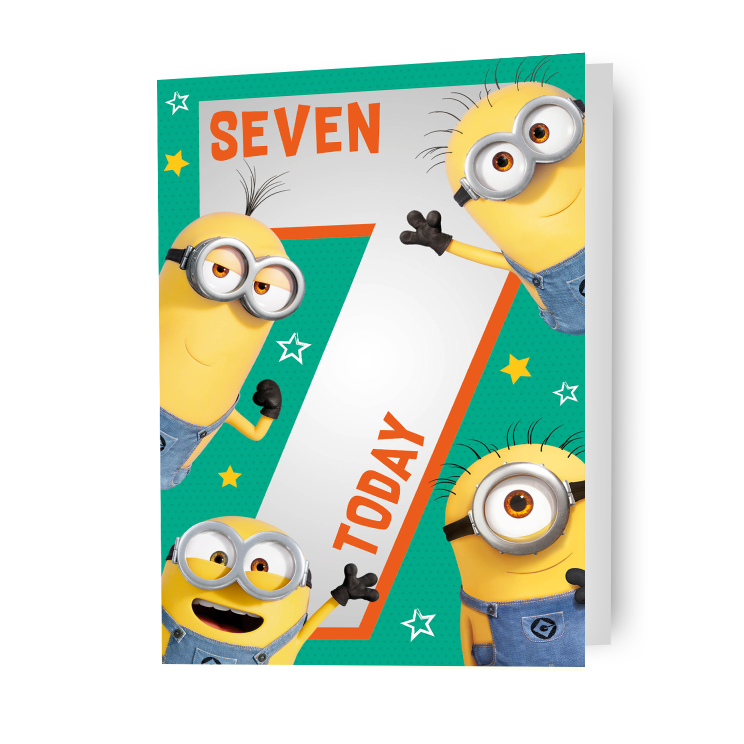 Aazon.co: Danilo Prootions LTD Despicable e Wrapping Paper 2 Sheet