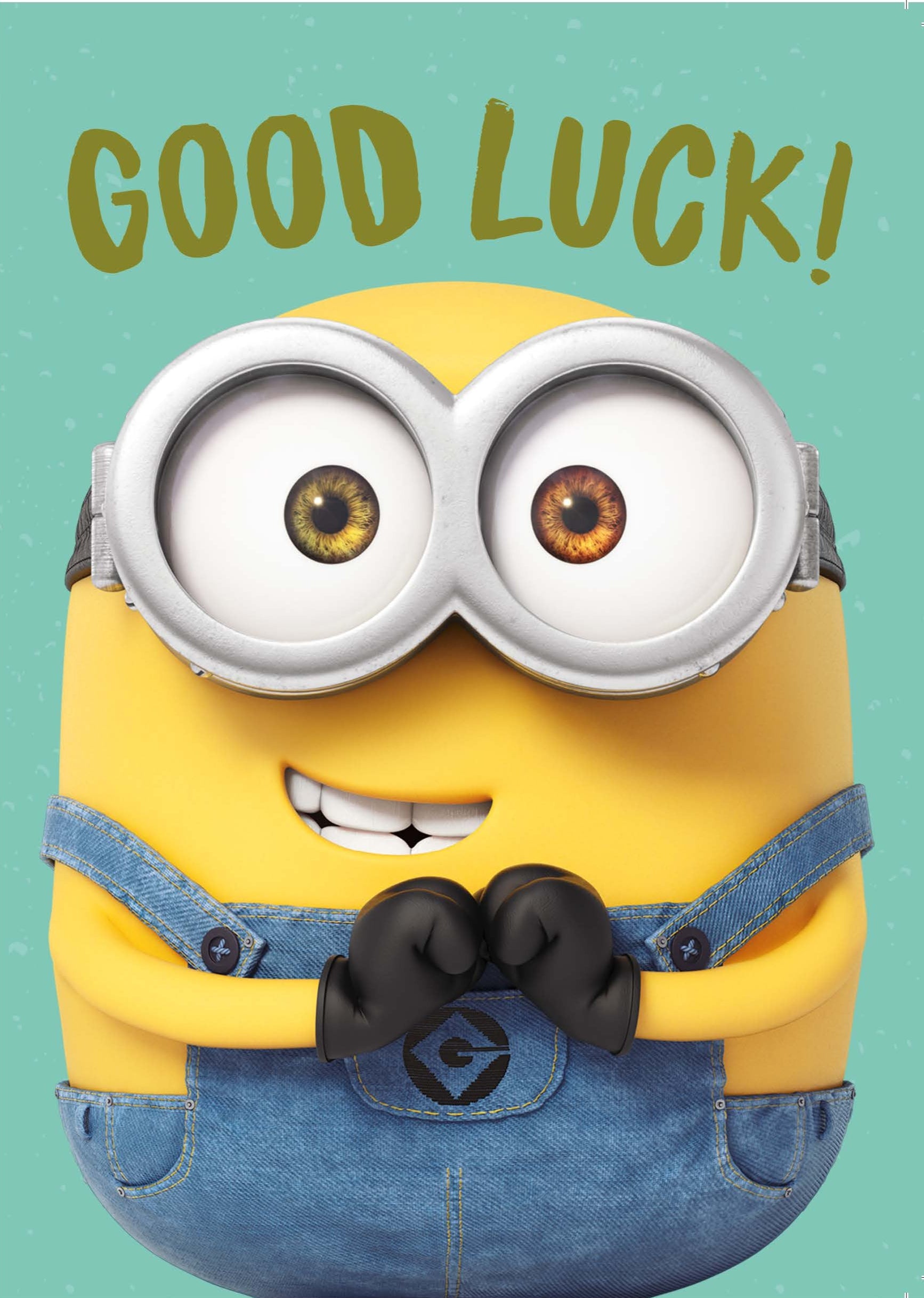 Despicable Me Minions 'Good Luck' Card – Danilo Promotions