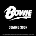 DAVID BOWIE 2026 COLLECTOR'S EDITION RECORD SLEEVE CALENDAR - PRE-ORDER