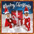 Elf On The Shelf Christmas Multipack of 30 Cards