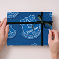 Everton FC 4 Sheets & 4 Tags Gift Wrap Bundle