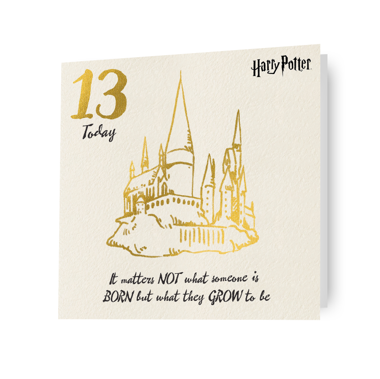 Harry Potter Age 13 Birthday Card