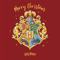 Harry Potter Christmas Multipack of 20 Cards