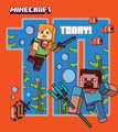 Minecraft Age 10 Birthday Card