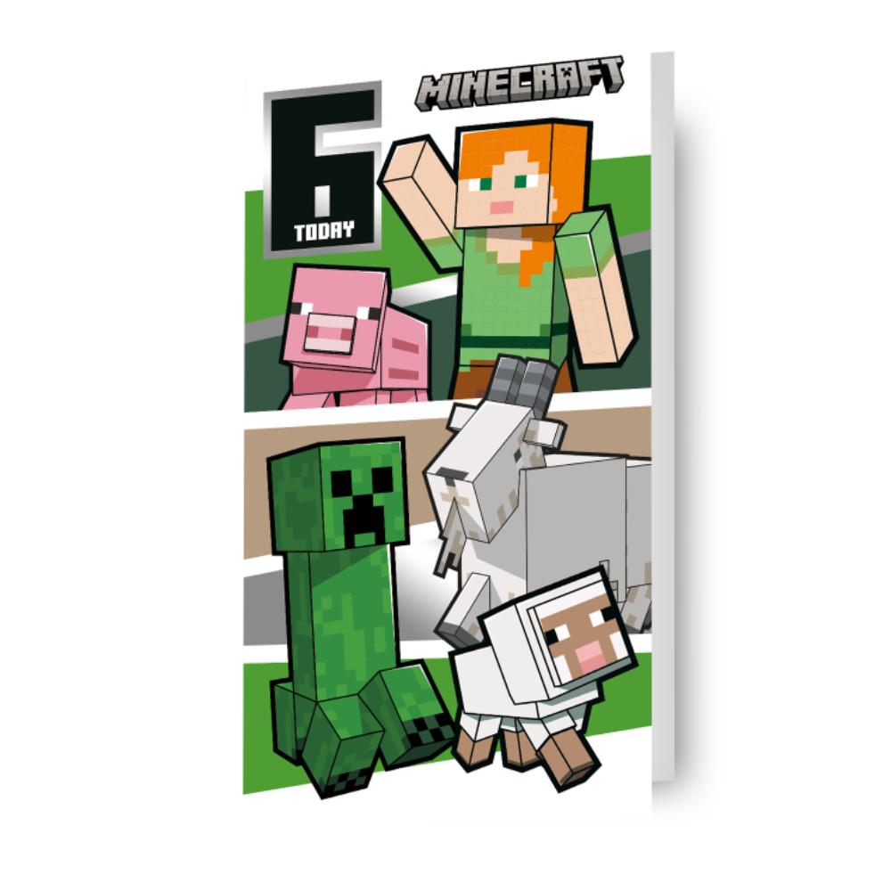 Minecraft Age 6 Birthday Card – Danilo Promotions