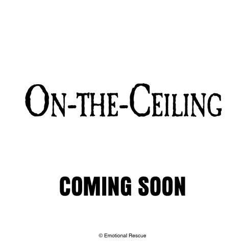 ON THE CEILING 2026 SLIM CALENDAR