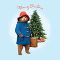 Paddington Bear Christmas Confezione multipla da 20 biglietti
