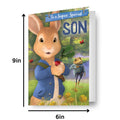 Peter Rabbit Son Pop-Up Birthday Card
