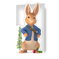 Peter Rabbit Die Cut Birthday Card