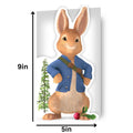 Peter Rabbit Die Cut Birthday Card
