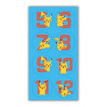 Pokemon Multi Ages 5-12 Sticker Birthday Card