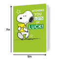 Peanuts Good Luck Card