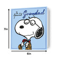 Peanuts Snoopy 'Grandad' Birthday Card