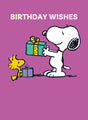 Peanuts Snoopy Birthday Card