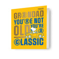 Peanuts Grandad Birthday Card