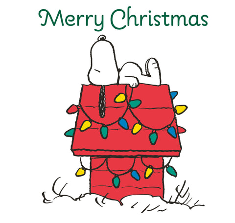 Peanuts Christmas Card