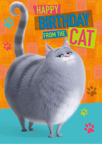 The Secret Life Of Pets 'From The Cat' Birthday Card