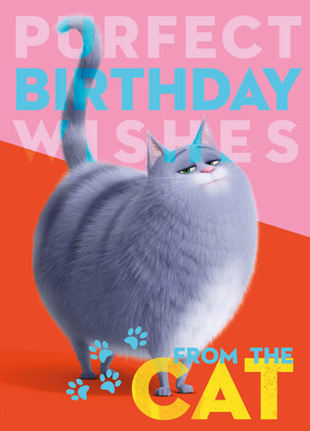 Secret Life Of Pets 'From The Cat' Birthday Card