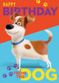 Secret Life Of Pets 'From The Dog' Birthday Card