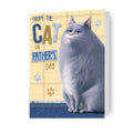The Secret Life of Pets Father's Day Card 'From The Cat'