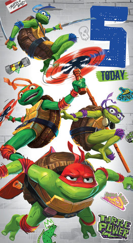 Teenage Mutant Ninja Turtles Age 5 Birthday Card